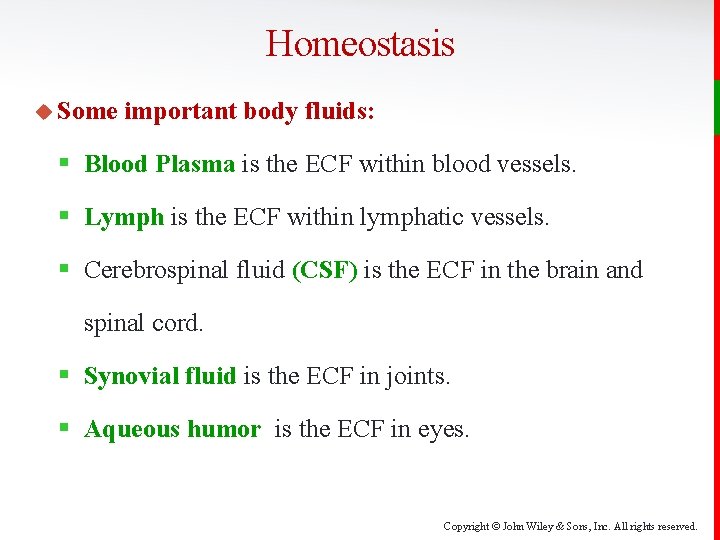 Homeostasis u Some important body fluids: § Blood Plasma is the ECF within blood