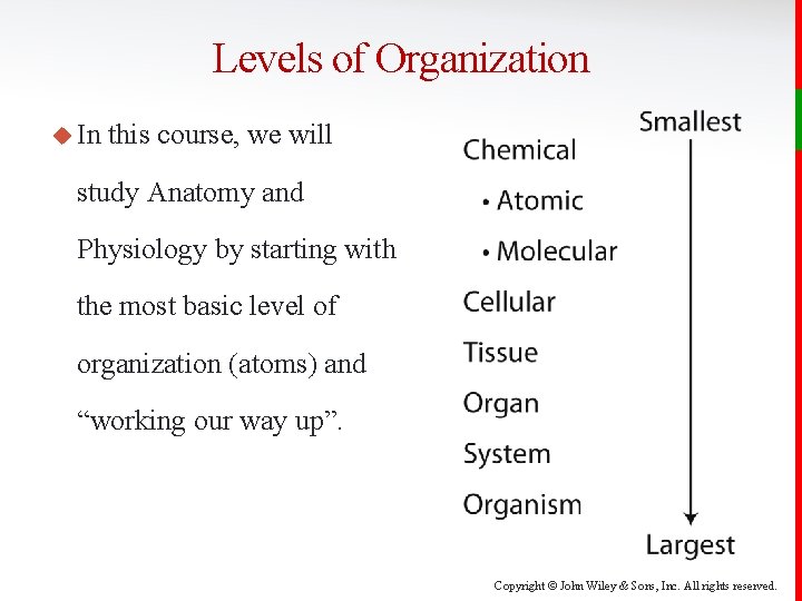 Levels of Organization u In this course, we will study Anatomy and Physiology by