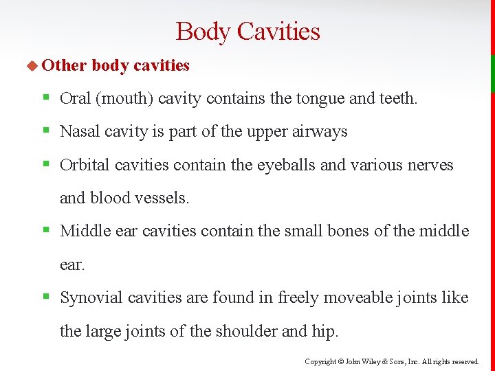 Body Cavities u Other body cavities § Oral (mouth) cavity contains the tongue and