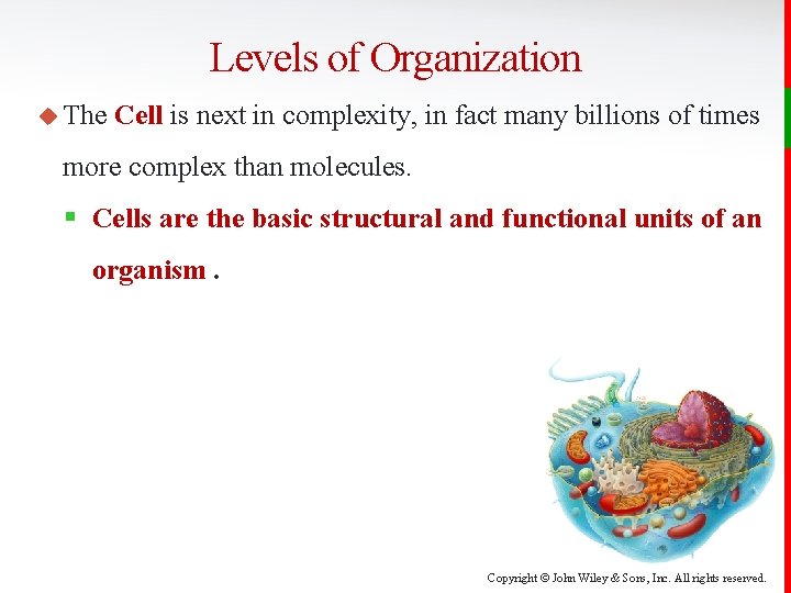 Levels of Organization u The Cell is next in complexity, in fact many billions