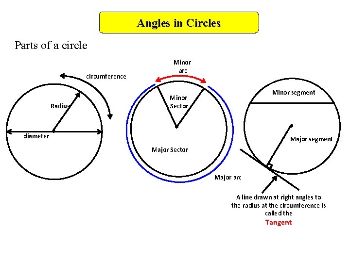 Angles in Circles Parts of a circle circumference Radius Minor arc Minor segment Minor