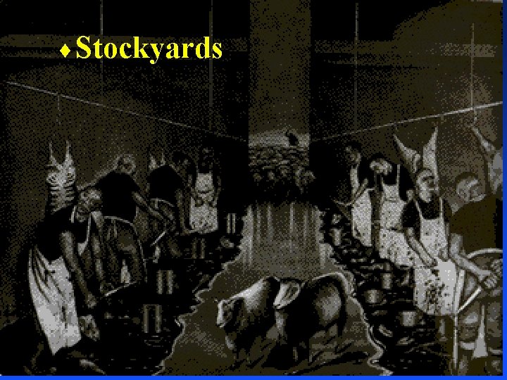 ¨ Stockyards 