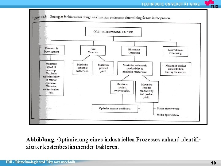 Abbildung. Optimierung eines industriellen Prozesses anhand identifizierter kostenbestimmender Faktoren. IBB - Biotechnologie und Bioprozesstechnik