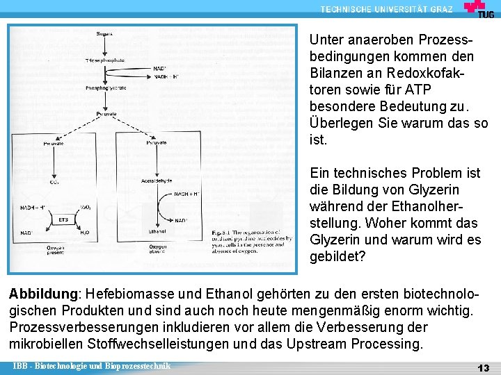 Unter anaeroben Prozessbedingungen kommen den Bilanzen an Redoxkofaktoren sowie für ATP besondere Bedeutung zu.