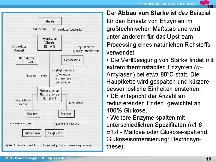 Der Abbau von Stärke ist das Beispiel für den Einsatz von Enzymen im großtechnischen