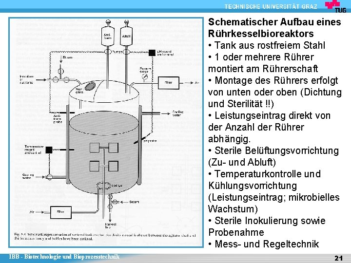 Schematischer Aufbau eines Rührkesselbioreaktors • Tank aus rostfreiem Stahl • 1 oder mehrere Rührer