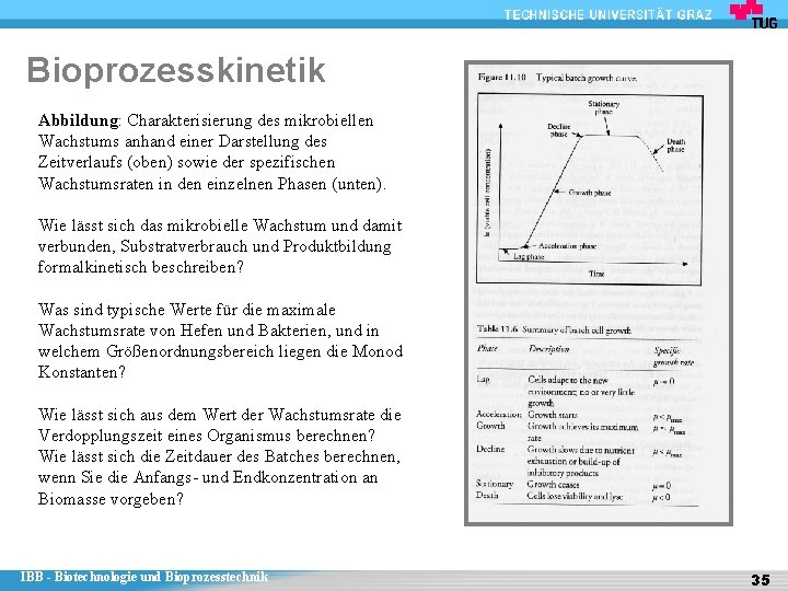 Bioprozesskinetik Abbildung: Charakterisierung des mikrobiellen Wachstums anhand einer Darstellung des Zeitverlaufs (oben) sowie der