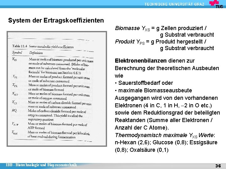 System der Ertragskoeffizienten Biomasse YXS = g Zellen produziert / g Substrat verbraucht Produkt