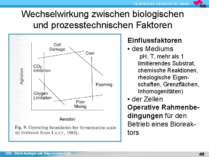 Wechselwirkung zwischen biologischen und prozesstechnischen Faktoren Einflussfaktoren • des Mediums p. H, T, mehr