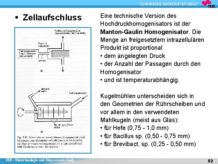 § Zellaufschluss Eine technische Version des Hochdruckhomogenisators ist der Manton-Gaulin Homogenisator. Die Menge an