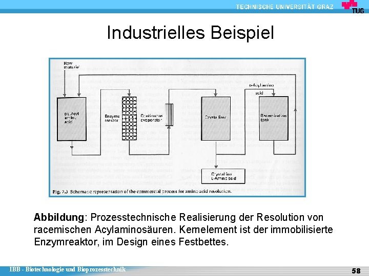 Industrielles Beispiel Abbildung: Prozesstechnische Realisierung der Resolution von racemischen Acylaminosäuren. Kernelement ist der immobilisierte