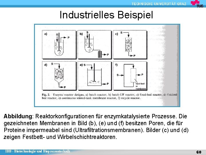 Industrielles Beispiel Abbildung: Reaktorkonfigurationen für enzymkatalysierte Prozesse. Die gezeichneten Membranen in Bild (b), (e)