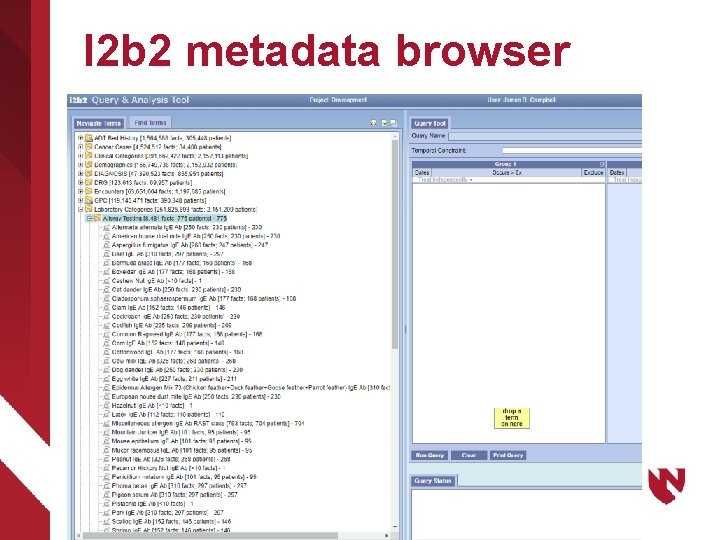 I 2 b 2 metadata browser 