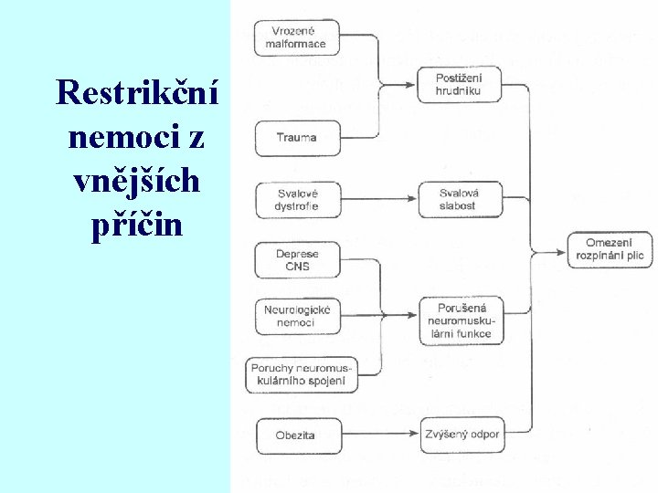 Restrikční nemoci z vnějších příčin 