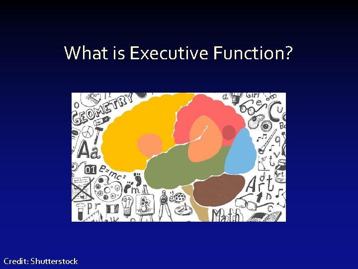 What is Executive Function? Credit: Shutterstock 