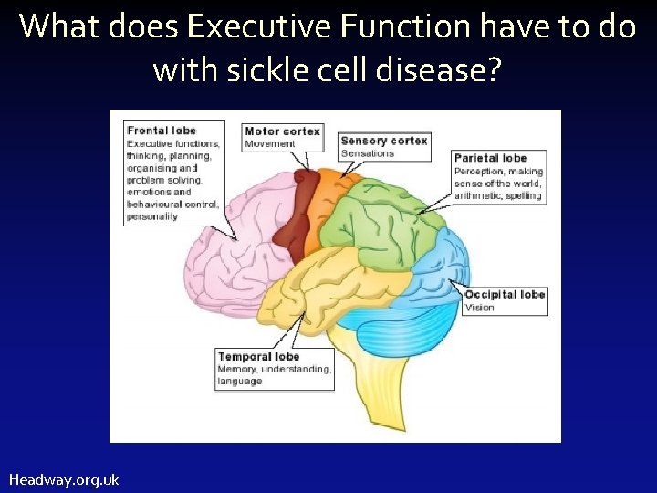 What does Executive Function have to do with sickle cell disease? Headway. org. uk