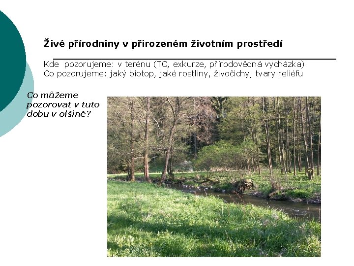 Živé přírodniny v přirozeném životním prostředí Kde pozorujeme: v terénu (TC, exkurze, přírodovědná vycházka)