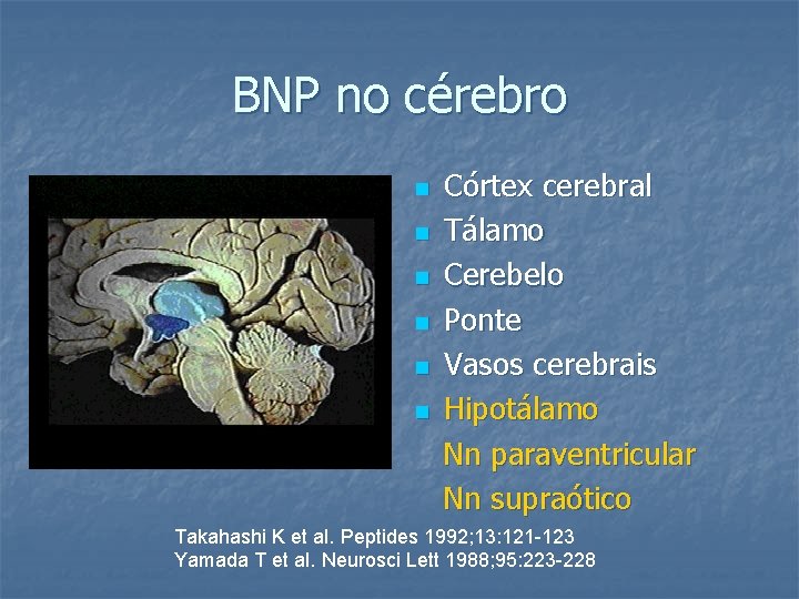 BNP no cérebro n n n Córtex cerebral Tálamo Cerebelo Ponte Vasos cerebrais Hipotálamo