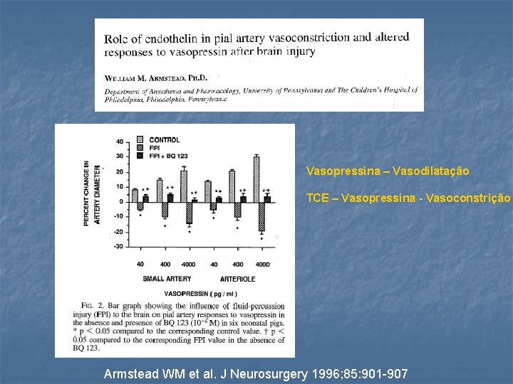 Vasopressina – Vasodilatação TCE – Vasopressina - Vasoconstrição Armstead WM et al. J Neurosurgery