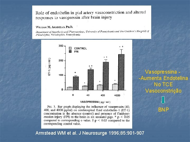 Vasopressina -Aumenta Endotelina No TCE Vasoconstrição BNP Armstead WM et al. J Neurosurge 1996;