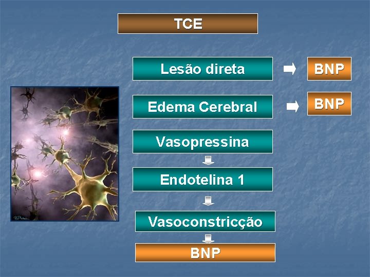 TCE Lesão direta BNP Edema Cerebral BNP Vasopressina Endotelina 1 Vasoconstricção BNP 