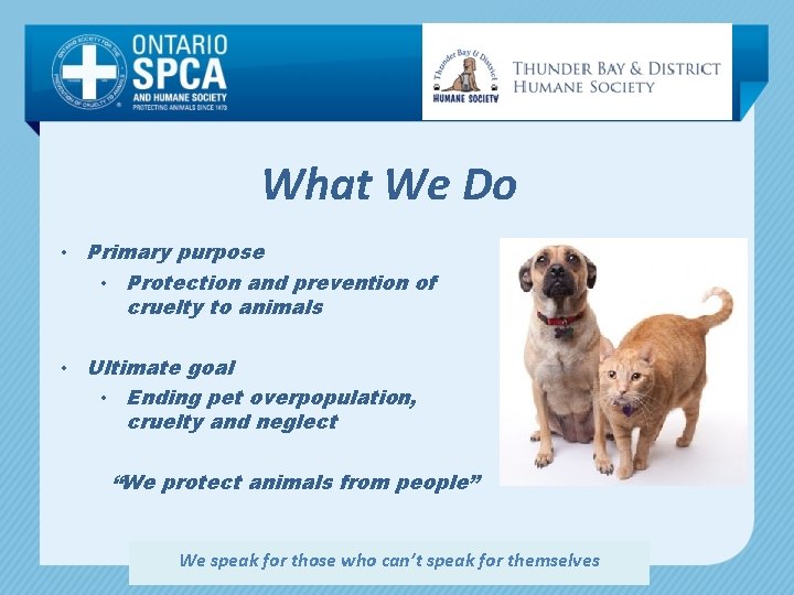 What We Do • Primary purpose • Protection and prevention of cruelty to animals