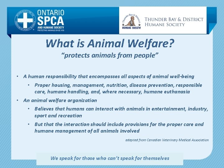 What is Animal Welfare? “protects animals from people” • A human responsibility that encompasses