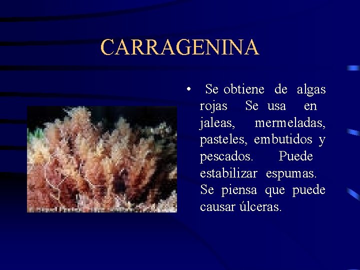 CARRAGENINA • Se obtiene de algas rojas Se usa en jaleas, mermeladas, pasteles, embutidos