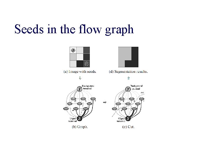 Seeds in the flow graph 