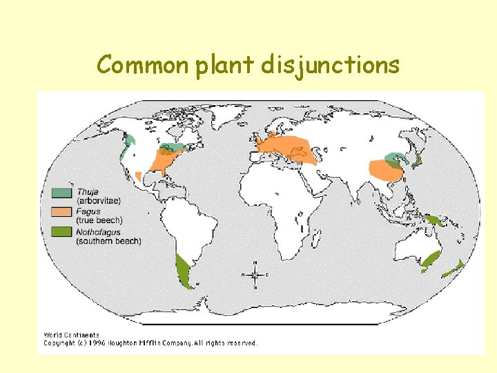 Common plant disjunctions 