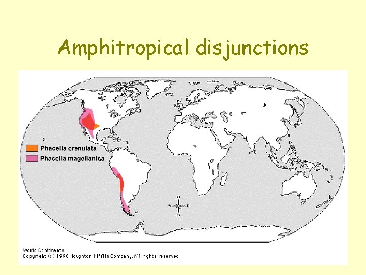 Amphitropical disjunctions 