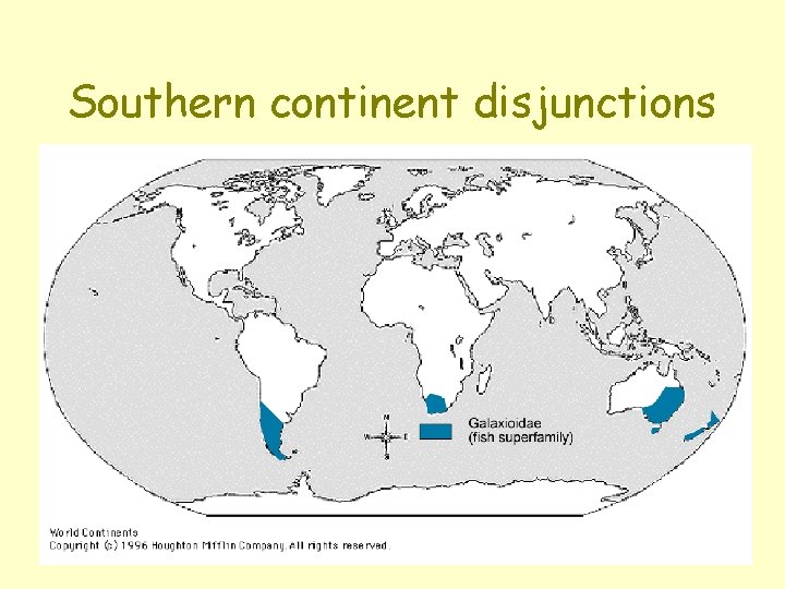 Southern continent disjunctions 