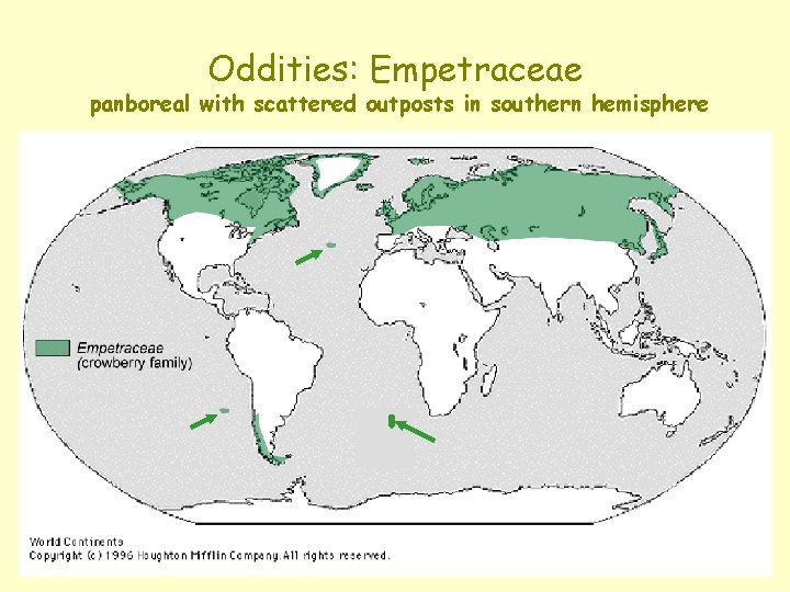 Oddities: Empetraceae panboreal with scattered outposts in southern hemisphere 