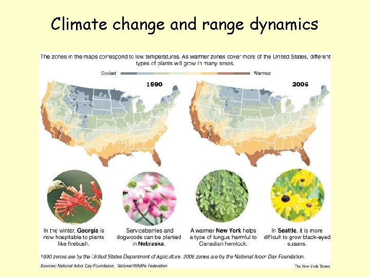Climate change and range dynamics 