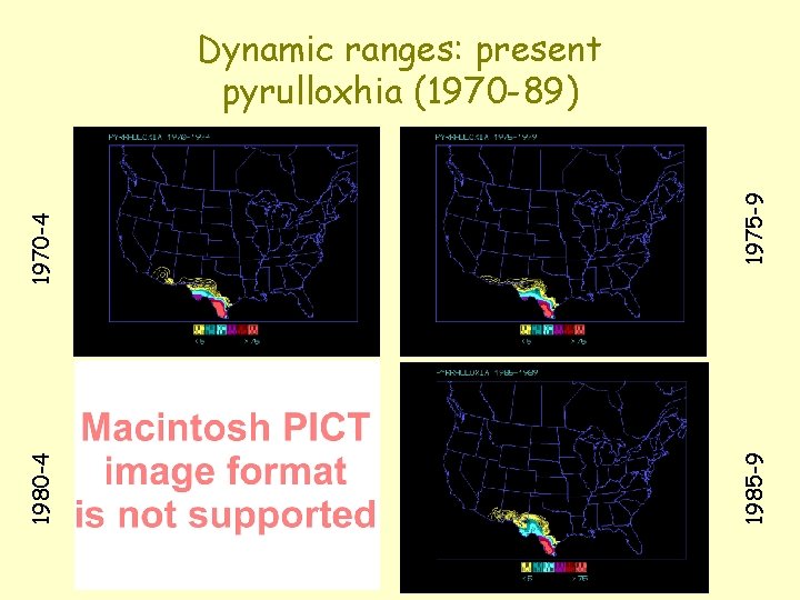 1975 -9 1980 -4 1970 -4 Dynamic ranges: present pyrulloxhia (1970 -89) 