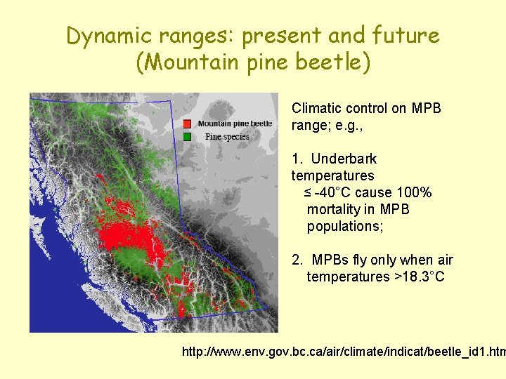Dynamic ranges: present and future (Mountain pine beetle) Climatic control on MPB range; e.