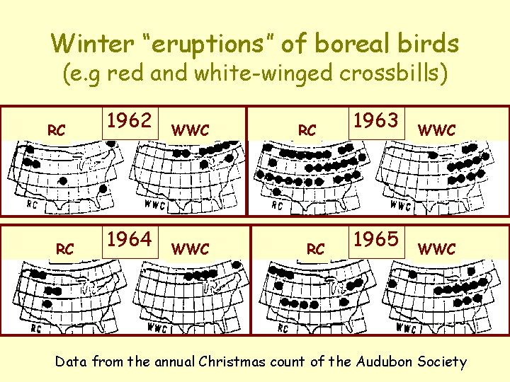 Winter “eruptions” of boreal birds (e. g red and white-winged crossbills) RC RC 1962