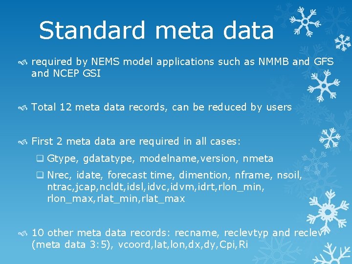 Standard meta data required by NEMS model applications such as NMMB and GFS and