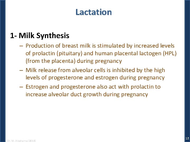 Lactation 1 - Milk Synthesis – Production of breast milk is stimulated by increased