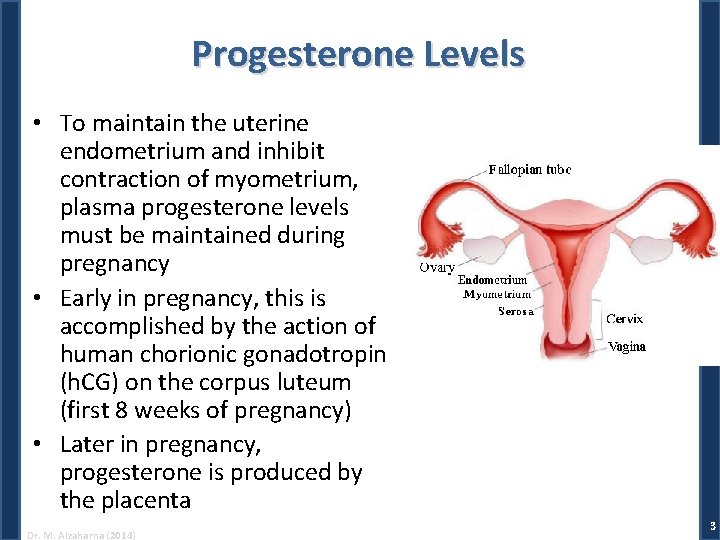 Progesterone Levels • To maintain the uterine endometrium and inhibit contraction of myometrium, plasma
