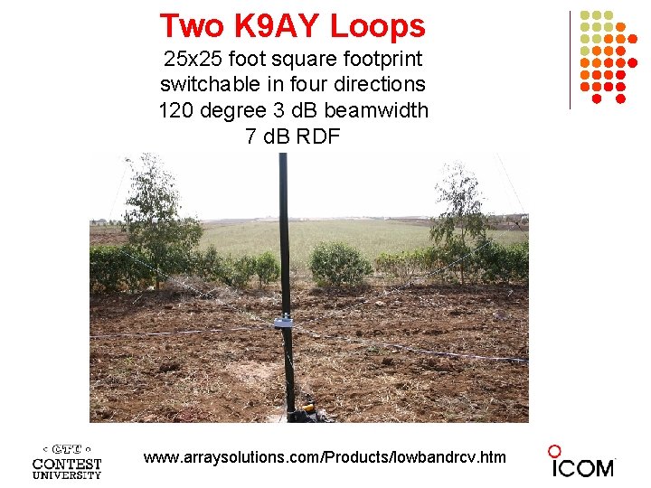 Two K 9 AY Loops 25 x 25 foot square footprint switchable in four