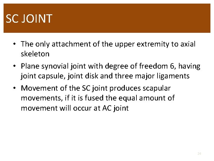 SC JOINT • The only attachment of the upper extremity to axial skeleton •