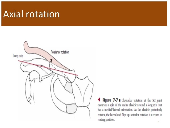 Axial rotation 31 