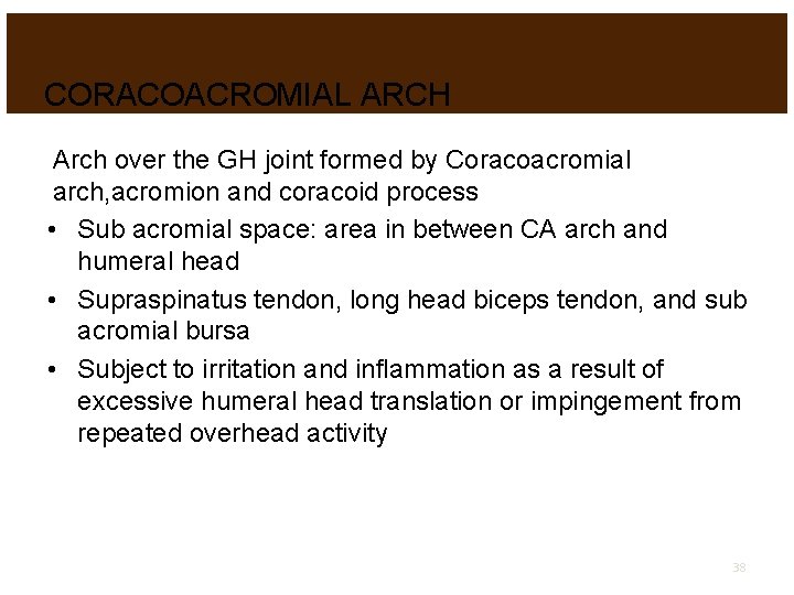 CORACOACROMIAL ARCH Arch over the GH joint formed by Coracoacromial arch, acromion and coracoid