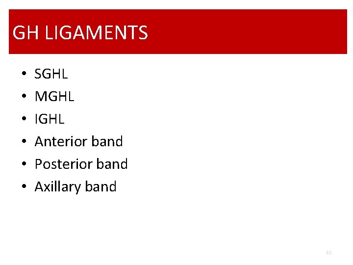 GH LIGAMENTS • • • SGHL MGHL IGHL Anterior band Posterior band Axillary band