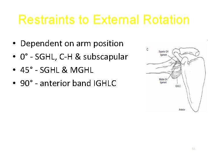 Restraints to External Rotation • • Dependent on arm position 0° - SGHL, C-H