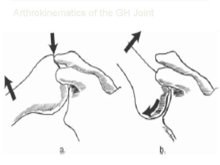 Arthrokinematics of the GH Joint 56 