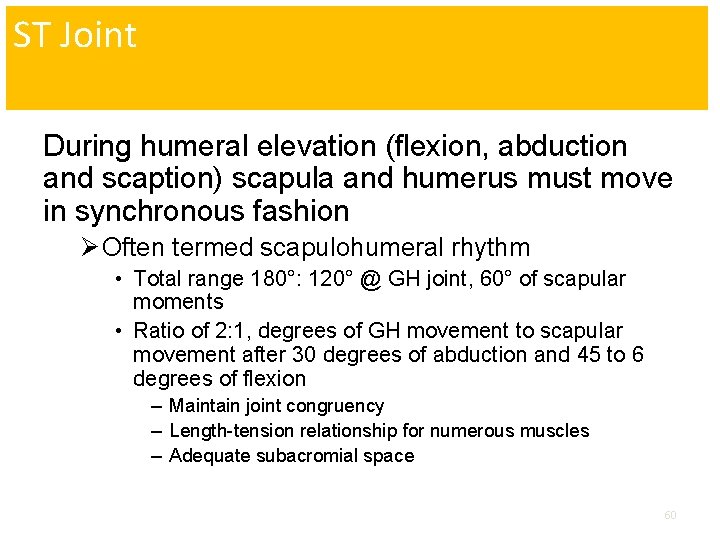 ST Joint During humeral elevation (flexion, abduction and scaption) scapula and humerus must move