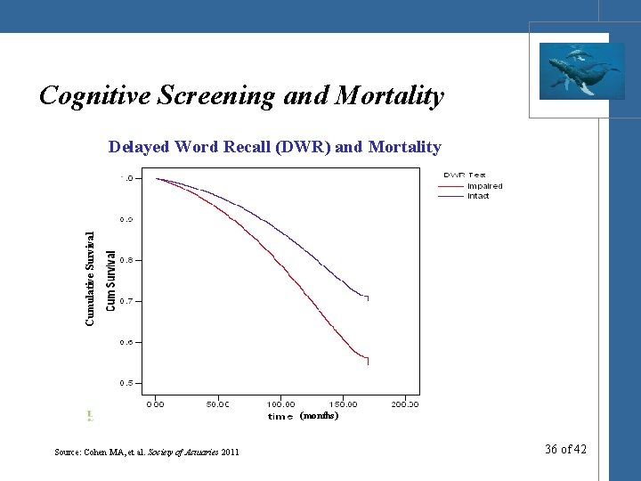 Cognitive Screening and Mortality Cumulative Survival Delayed Word Recall (DWR) and Mortality (months) Source: