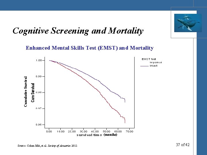 Cognitive Screening and Mortality Cumulative Survival Enhanced Mental Skills Test (EMST) and Mortality (months)